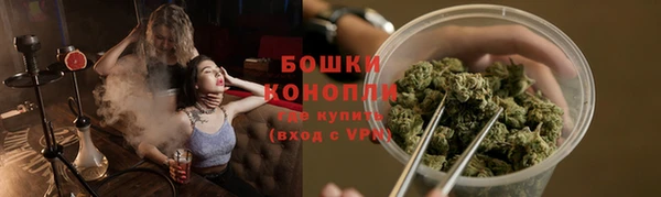 ГАЛЛЮЦИНОГЕННЫЕ ГРИБЫ Баксан