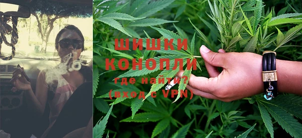 ГАЛЛЮЦИНОГЕННЫЕ ГРИБЫ Баксан
