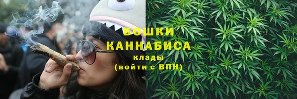 ГАЛЛЮЦИНОГЕННЫЕ ГРИБЫ Баксан